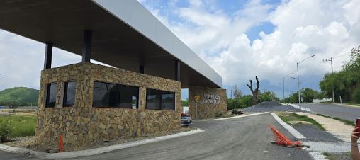 Vi&ntilde;edos de Sicilia — Detalle